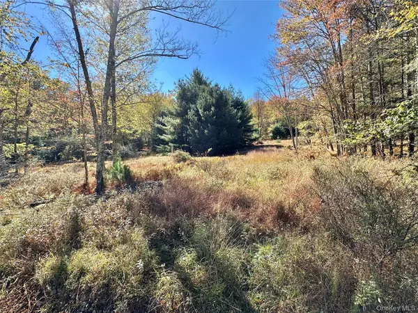 Aldrich RD, Wurtsboro, NY 12790