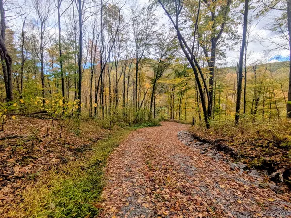 Stanfordville, NY 12581,Rt-199