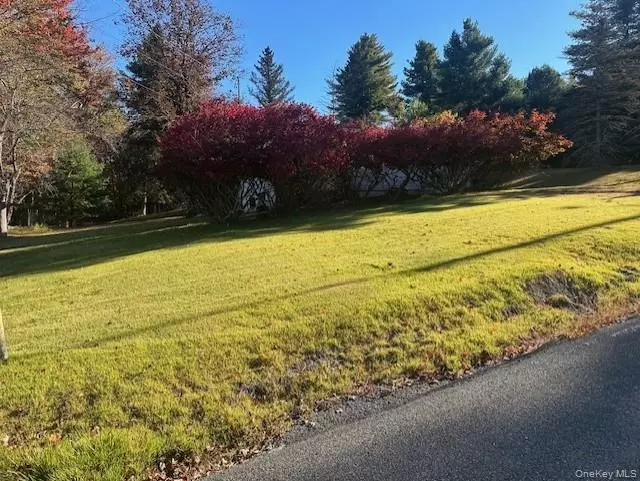 Mountain Dale, NY 12733,25 Miles and Marguerite