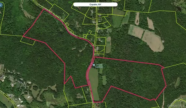 Copake, NY 12516,2934 County Route 7