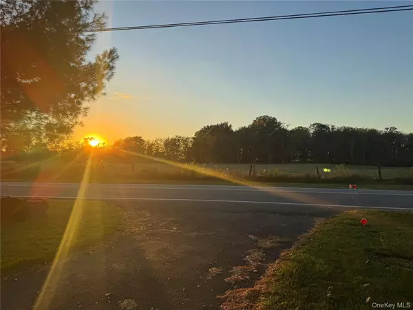 Rhinebeck, NY 12572,98 River RD