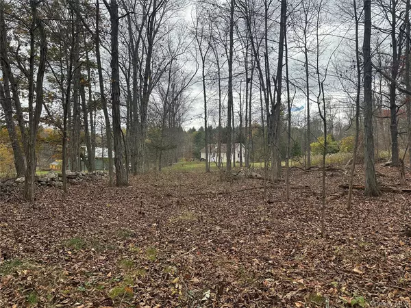 Cairo, NY 12413,470 Edison Timmerman RD