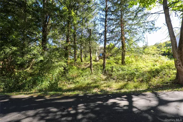 Kingston, NY 12401,99 Gross ST