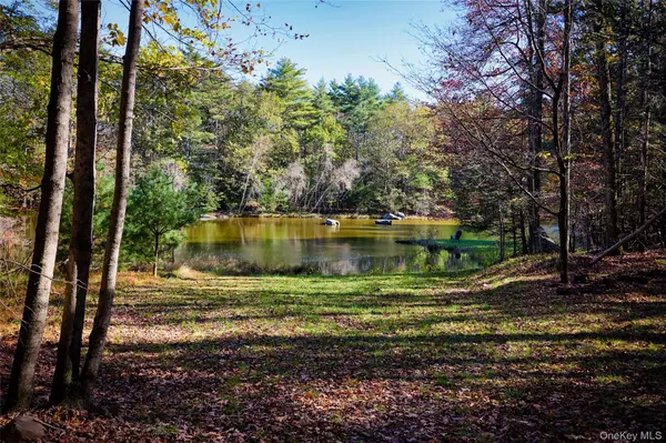 Saugerties, NY 12477,O Band Camp RD