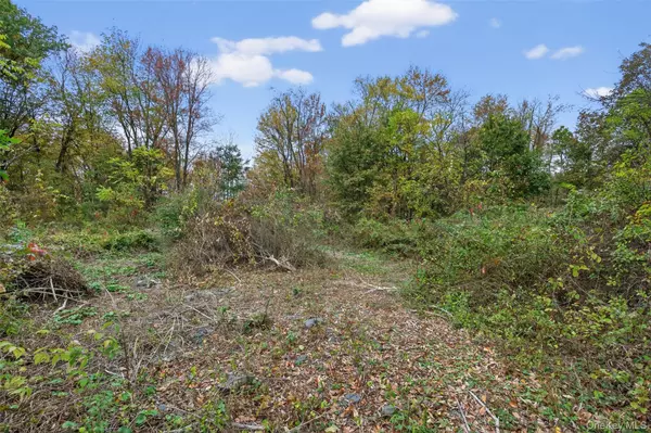 New Paltz, NY 12561,37 N Ohioville RD