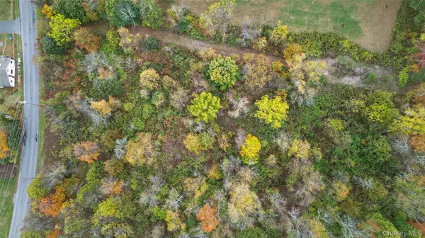 New Paltz, NY 12561,37 N Ohioville RD