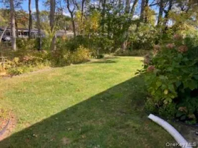 Riverhead, NY 11901,465 Old Country RD #465