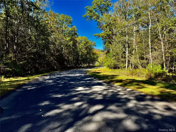 Palenville, NY 12463,67 Falling Waters DR