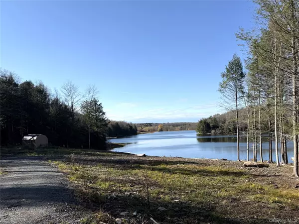 Parksville, NY 12768,17 Eagles Ridge WAY