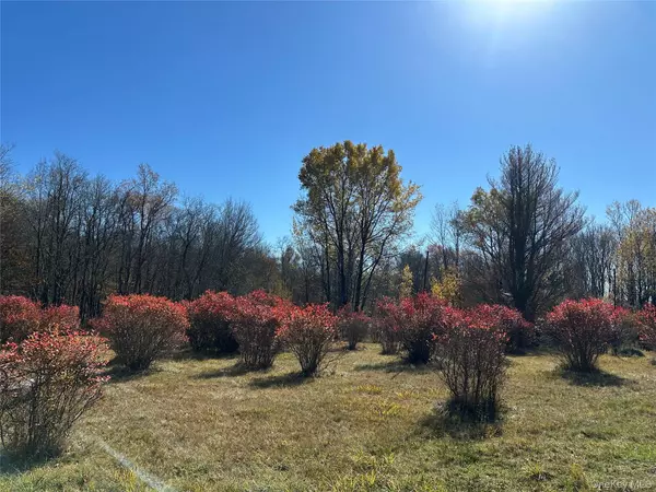 Livingston Manor, NY 12758,24 Mud Pond RD