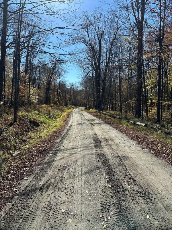 Livingston Manor, NY 12758,24 Mud Pond RD