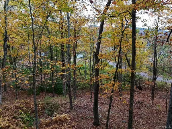 Haines Falls, NY 12436,TBD Kornell Drive