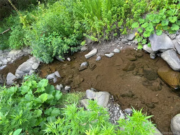 Barryville, NY 12719,126 Yulan-Barryville RD