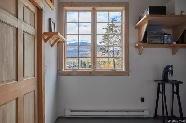 Hunter, NY 12442,1681 Platte Clove RD