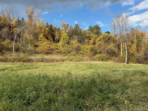 Millerton, NY 12546,Lakeside DR