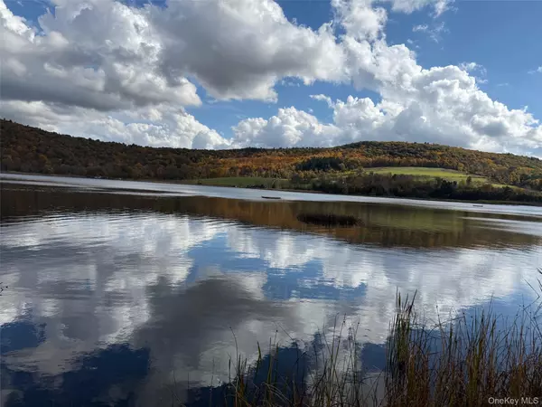 Millerton, NY 12546,Lakeside DR