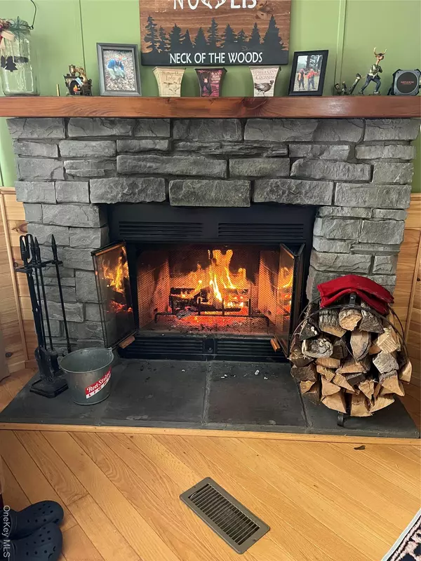 Hancock, NY 12776,144 Bonnie Brook RD