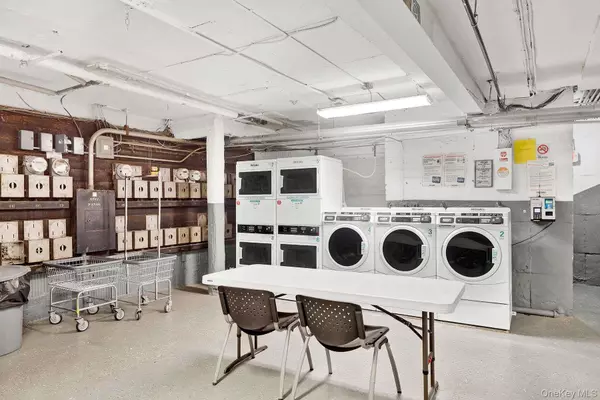 Great Neck Plaza, NY 11021,1 Ash place #2L