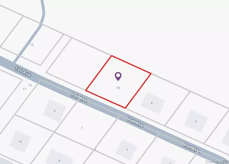 Monroe, NY 10930,8 First AVE