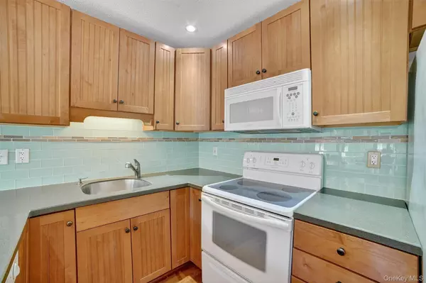 Peekskill, NY 10566,62 Villa DR