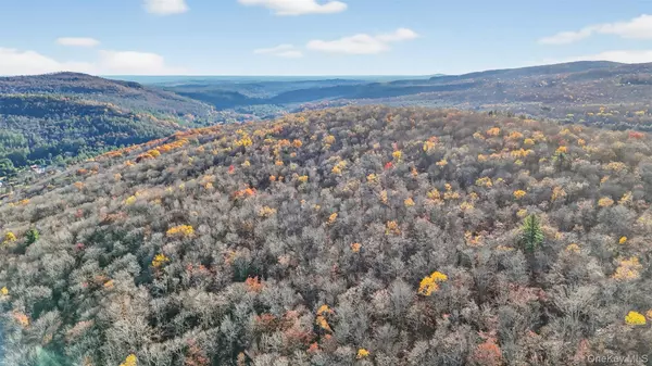 Claryville, NY 12725,79 Taylor RD