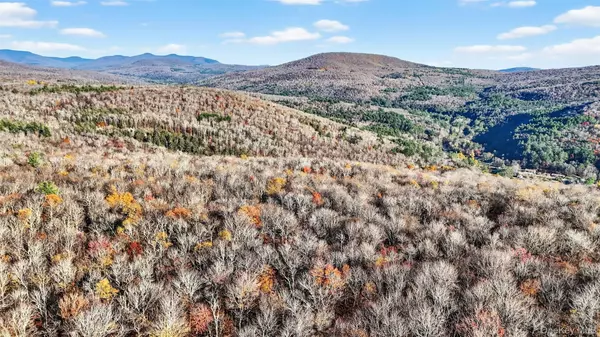 Claryville, NY 12725,79 Taylor RD