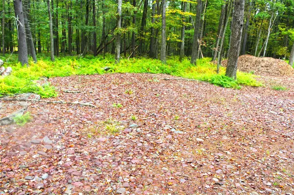 Narrowsburg, NY 12764,Lot 2 Evergreen LN