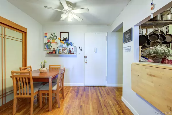 Rego Park, NY 11374,66-01 Burns ST #4N