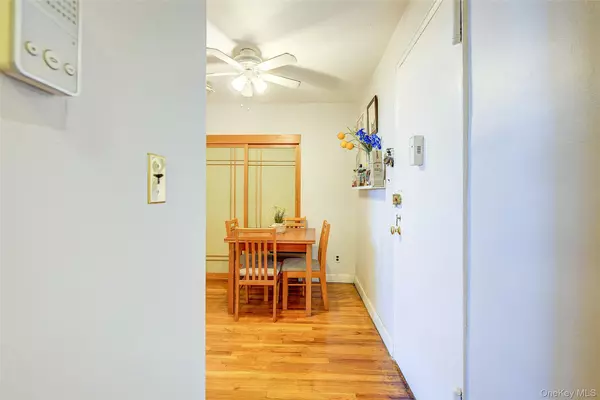 Rego Park, NY 11374,66-01 Burns ST #4N