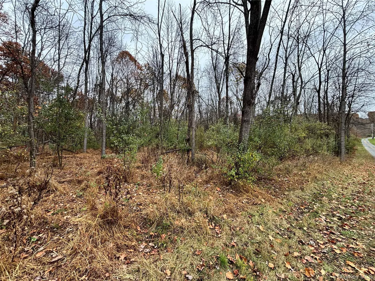 Westtown, NY 10998,Gildea Ln