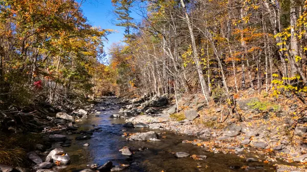 Woodstock, NY 12498,3207-3209 Route 212