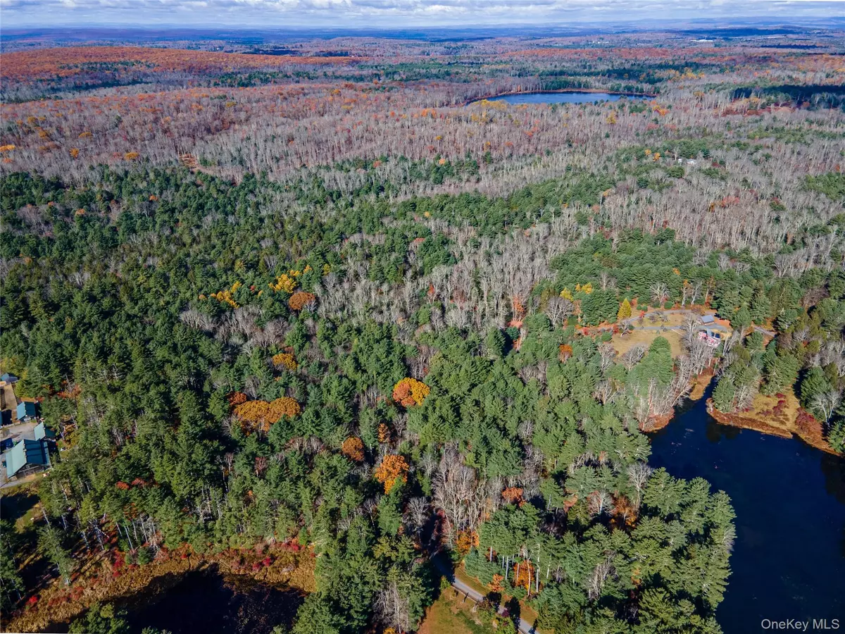 Forestburgh, NY 12777,1 Philwold RD