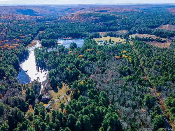 Forestburgh, NY 12777,1 Philwold RD