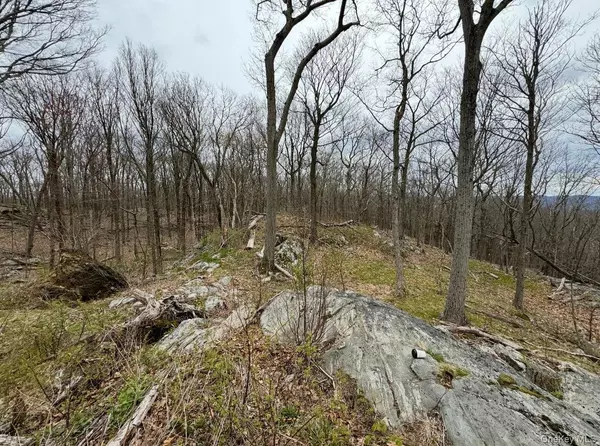 Hopewell Junction, NY,Woodmont Road