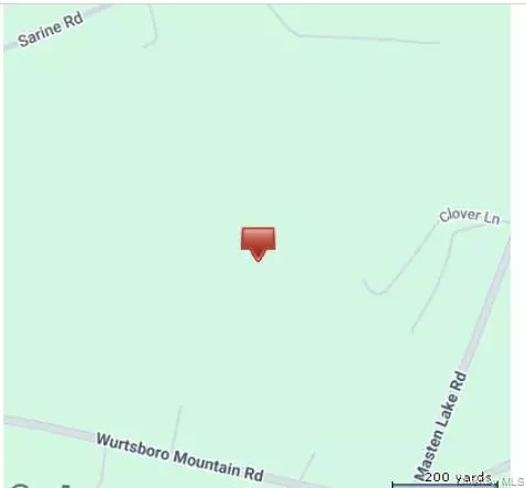 Wurtsboro, NY 12790,Park AVE