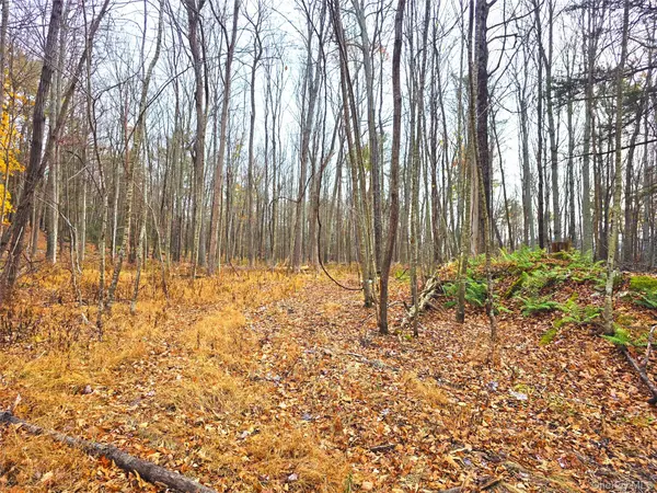 Cairo, NY 12413,0 County Route 41