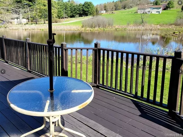 Bethel, NY 12783,601 Briscoe RD