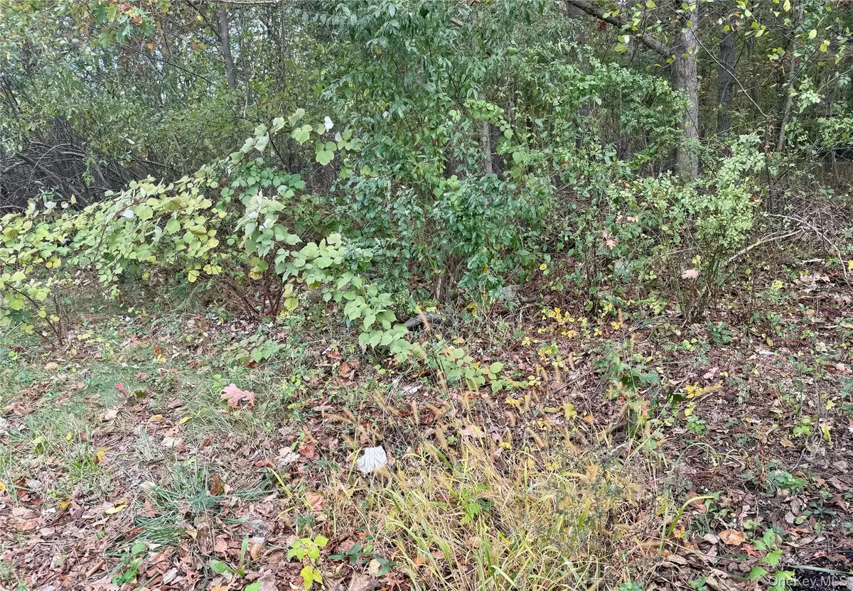 Port Jefferson Station, NY 11776,0 Phoenix AVE