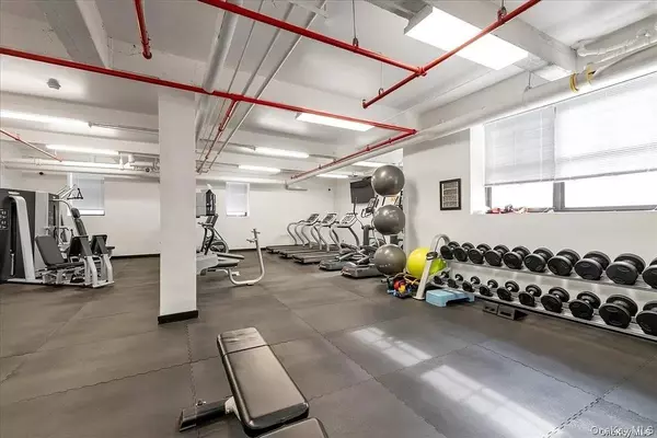 Kew Gardens, NY 11415,83-40 Austin ST #7N