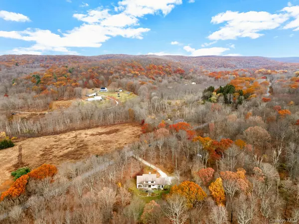 331 Grape Hollow RD, Holmes, NY 12531