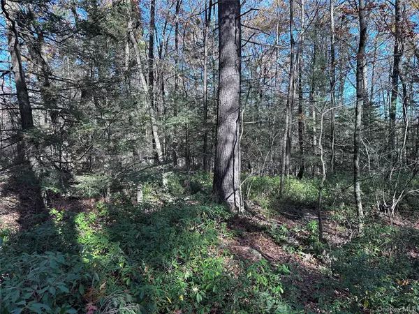 Kerhonkson, NY 12446,Lot 2 Upper Cherrytown RD