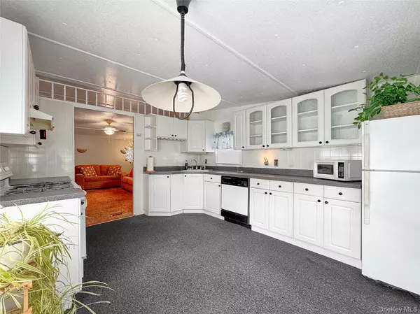 Riverhead, NY 11933,1964 Riveroad RD #55