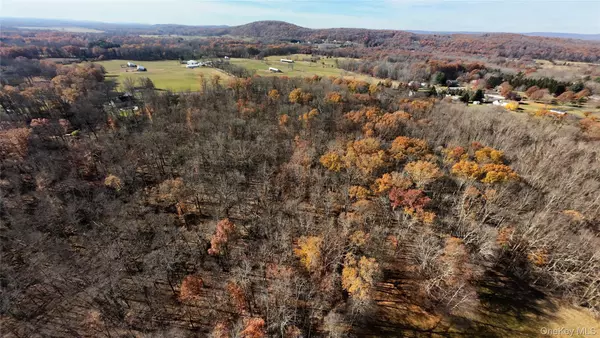 Montgomery, NY 12549,109 White Birch LN