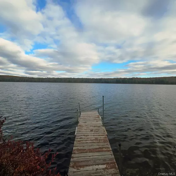 14 Lena RD, Monticello, NY 12777