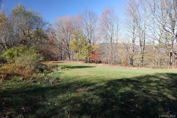 Jeffersonville, NY 12748,Blackberry Lake RD