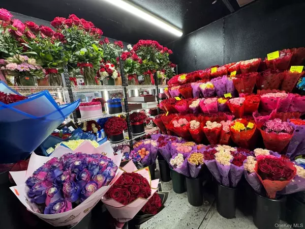 Corona, NY 11368,107-07 Northern BLVD