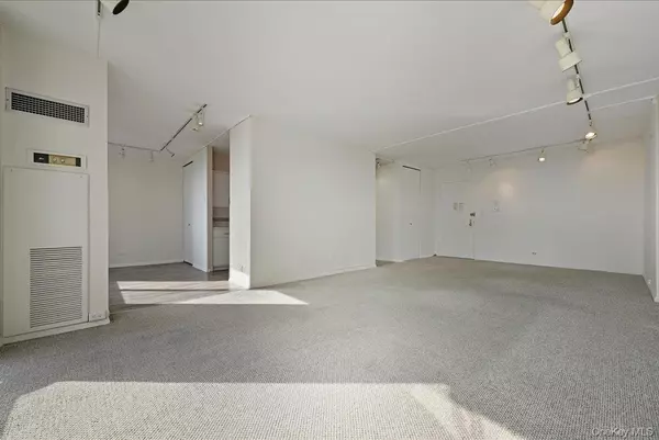 Floral Park, NY 11005,27110 Grand Central Pkwy #30R