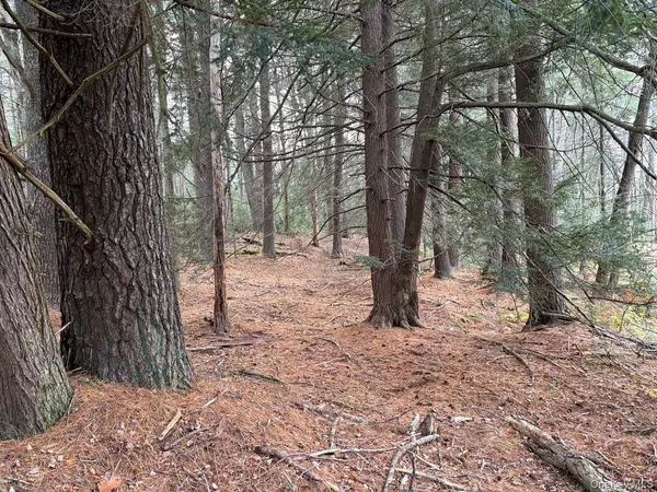 Bethel, NY 12720,0 Puckyhuddle RD