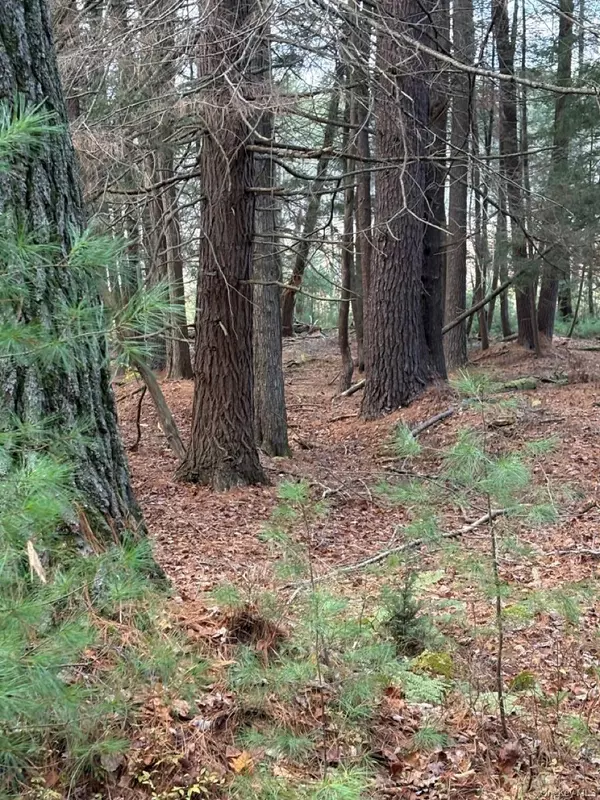 Bethel, NY 12720,0 Puckyhuddle RD