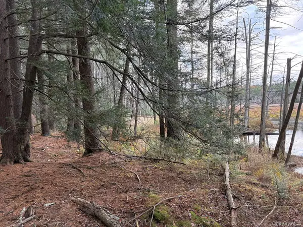 Bethel, NY 12720,0 Puckyhuddle RD